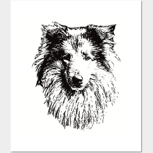 Rough Collie gift for Collie Owners Posters and Art